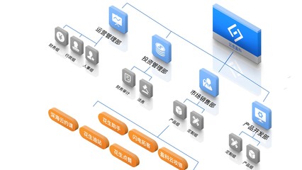 公司架構(gòu)